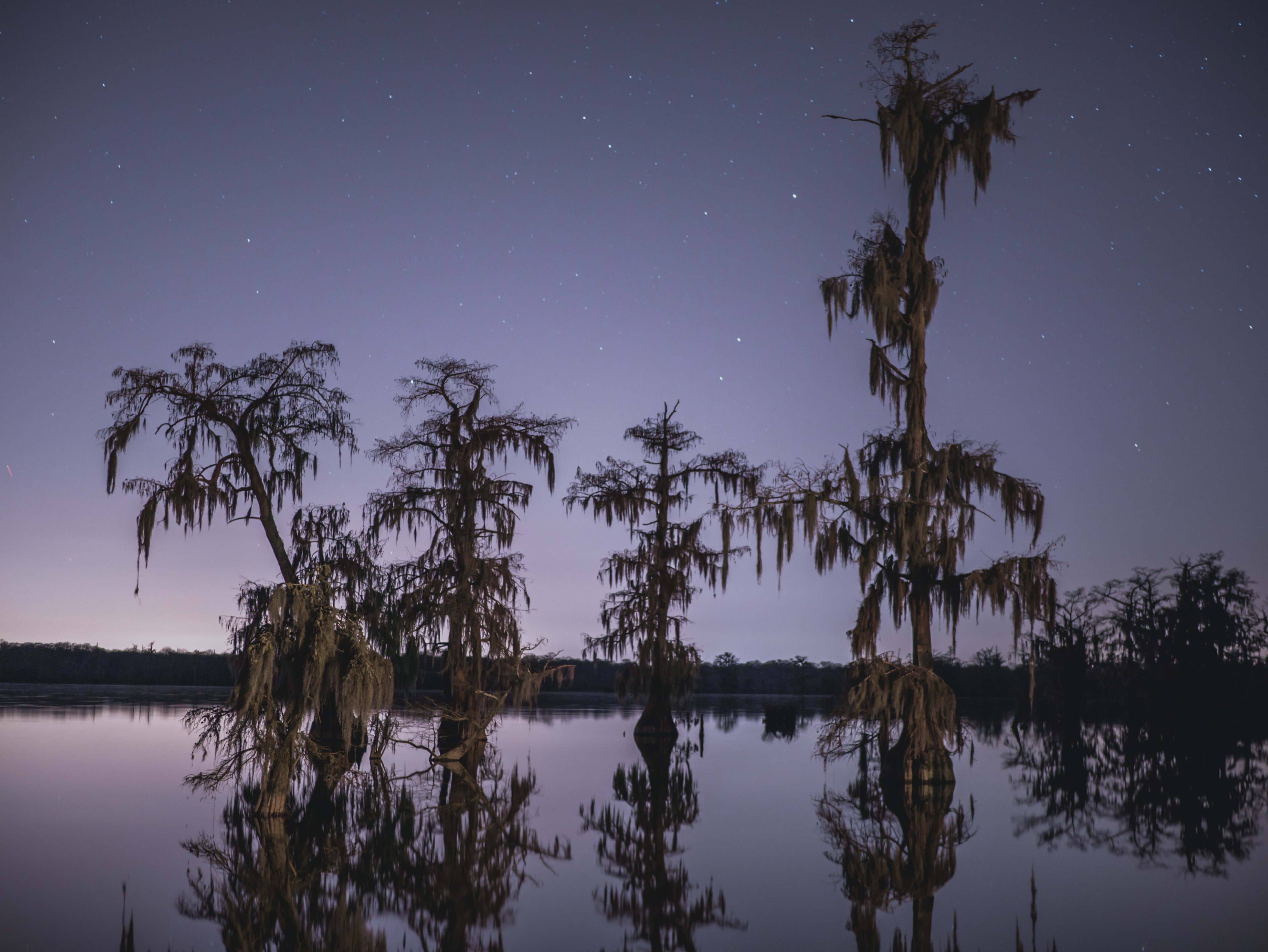 Indigo sky over Lake Martin, Breaux Bridge, Louisiana, USA