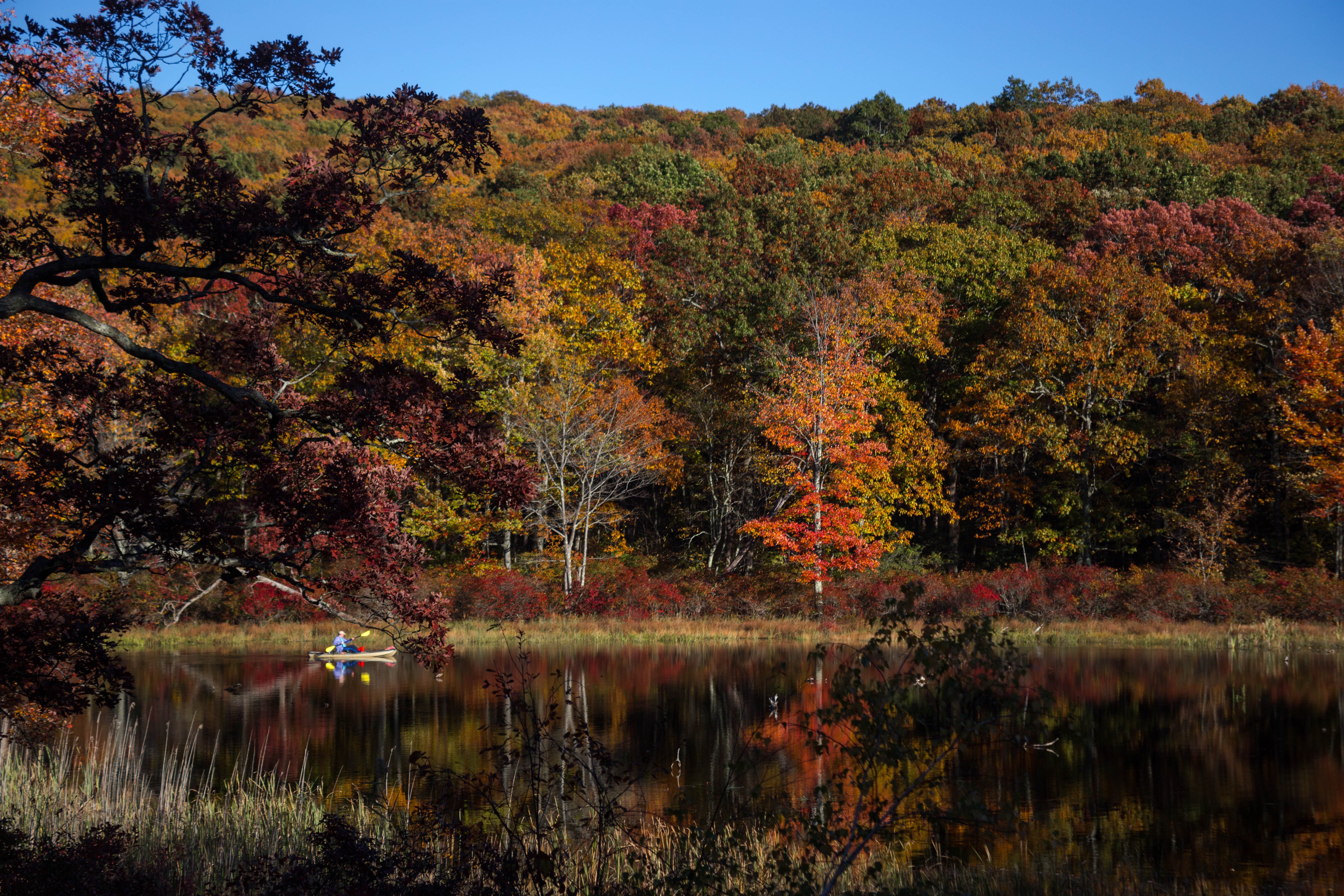 Lone paddler on a lake in High Point State Park, New Jersey, USA